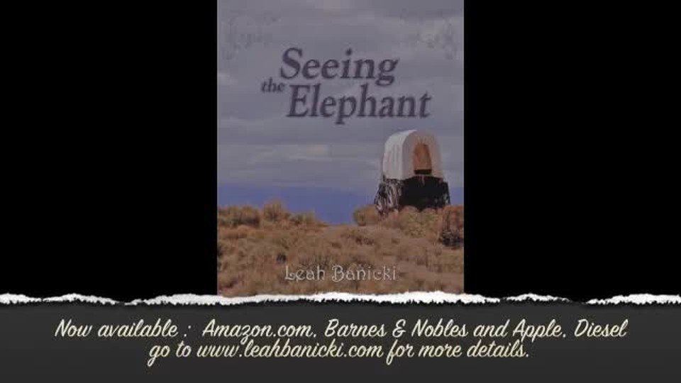 Book Trailer: Seeing the Elephant