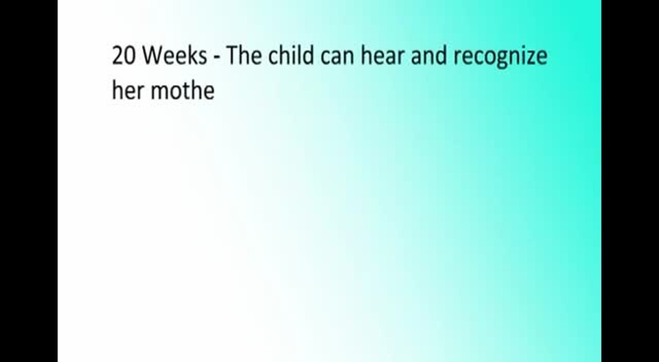 pregnancy week to week