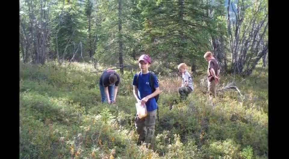 Blueberry Picking with Friends