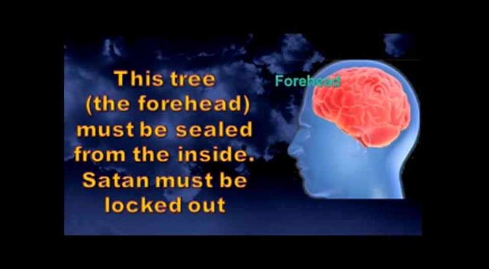 The mark on the forehead - my end time vision from my Heavenly Father