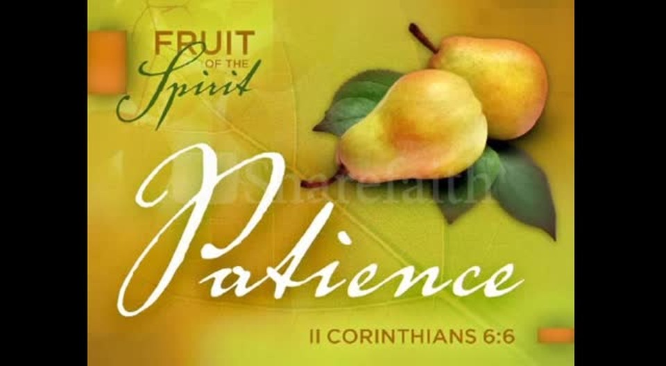 Fruit Of The Spirt