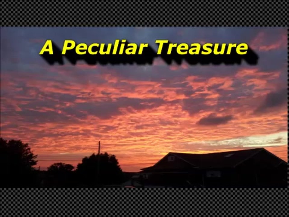 Randy Winemiller "A Peculiar Treasure"