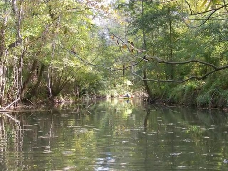 Kayaking on Bayou Manchac