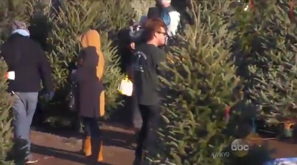 You Won't Believe Who Comes to the Rescue When a Single Mom Can't Afford a Tree