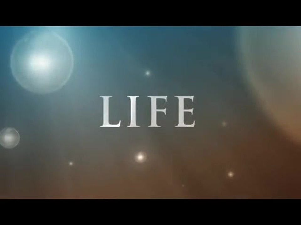 Life Inspiration