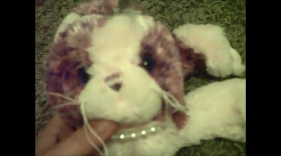 Webkinz- The Noise