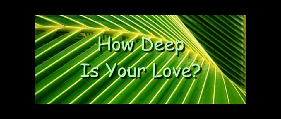 How Deep Is Your Love? - Randy Winemiller