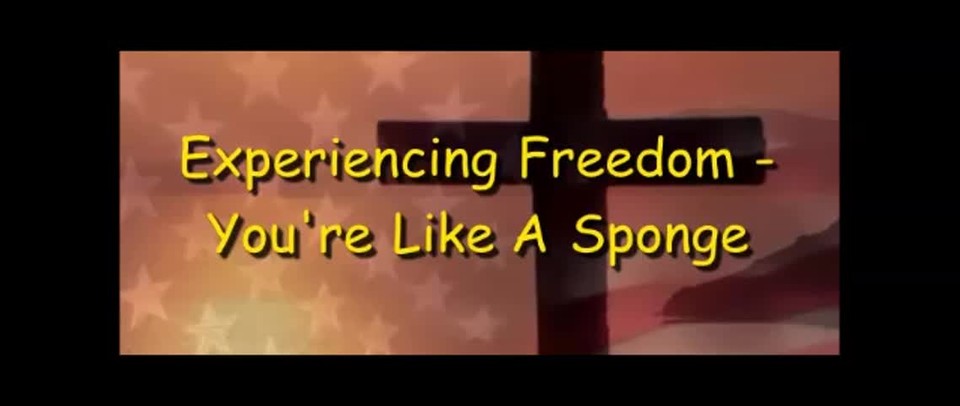 Experiencing Freedom - You're Like A Sponge - Randy Winemiller