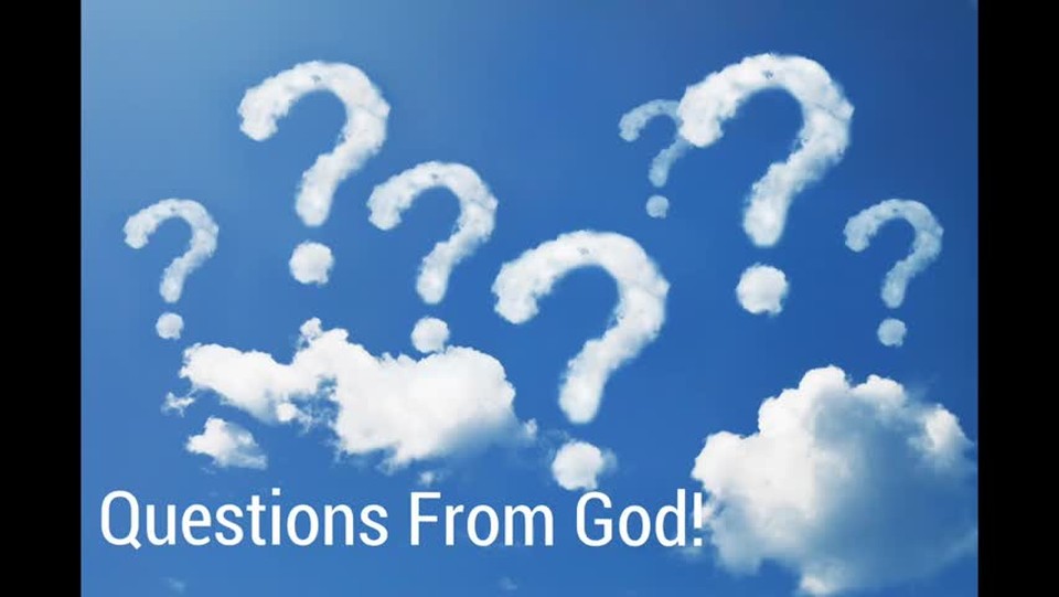 When God Asks Questions!