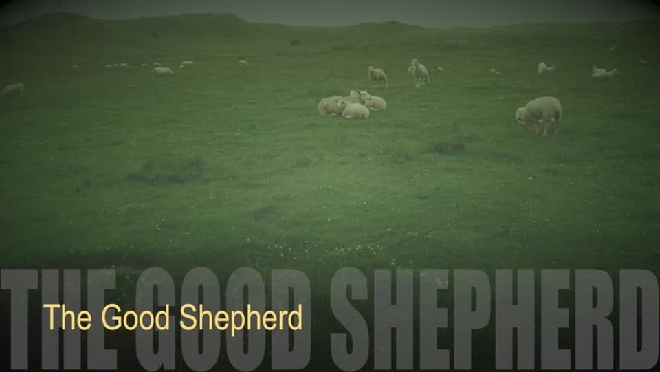 The Good Shepherd HD