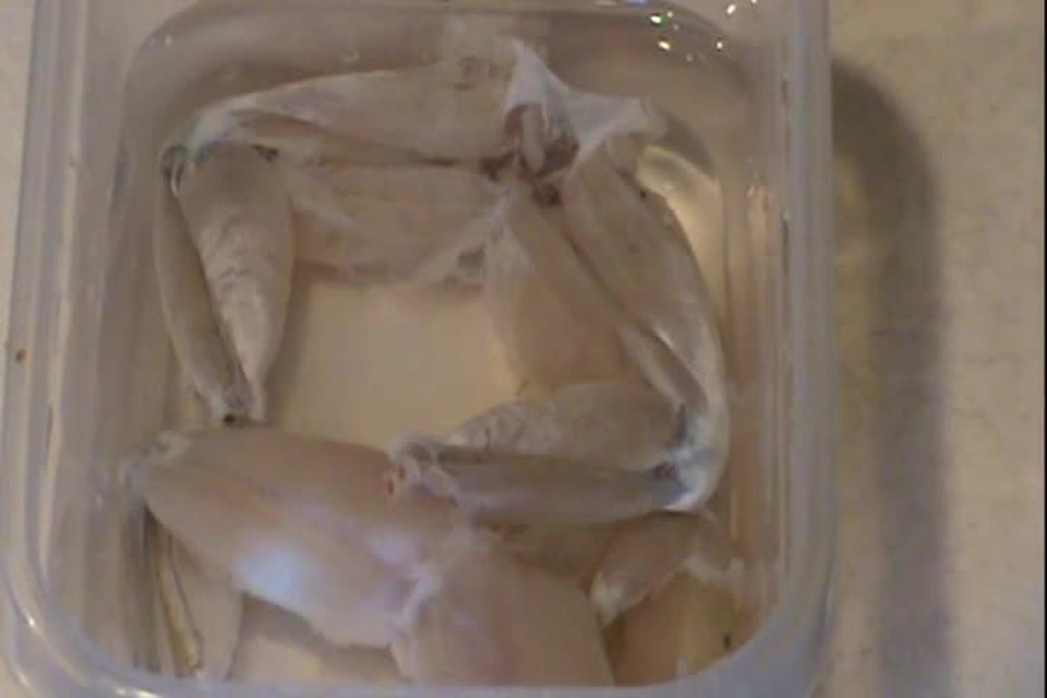Salt on Frog legs!