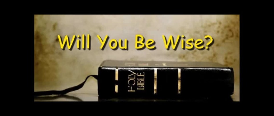 Will You Be Wise? - Randy Winemiller