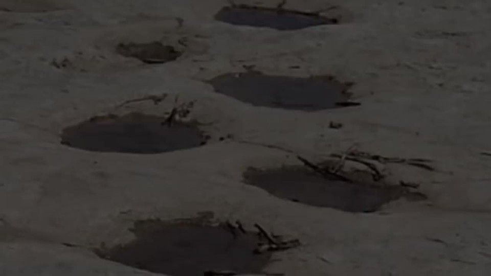 Dinosaurs in the Bible