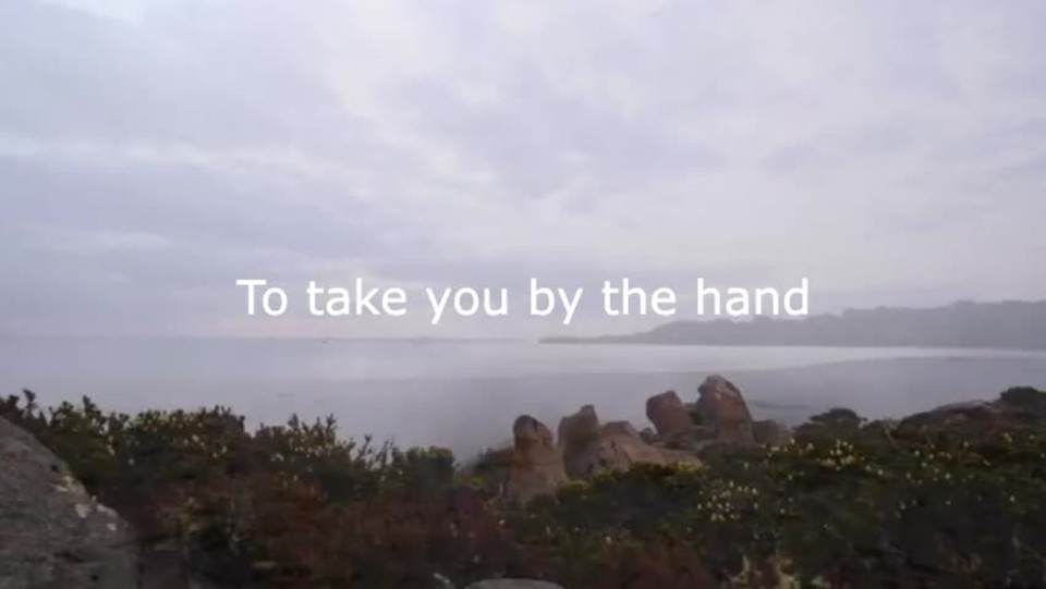 Pearls before the Swine| Michael Herbert|With lyrics