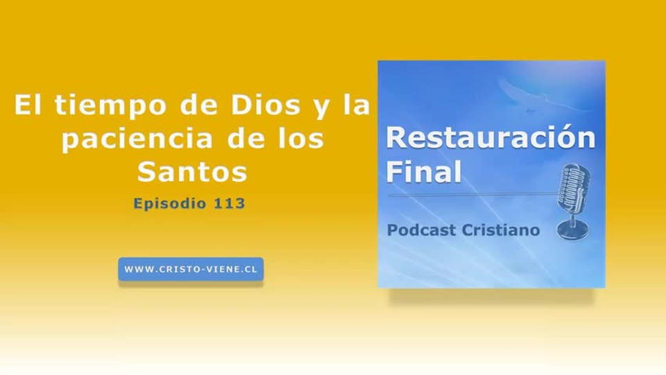 El tiempo de Dios y la paciencia de los Santos (N° 113)