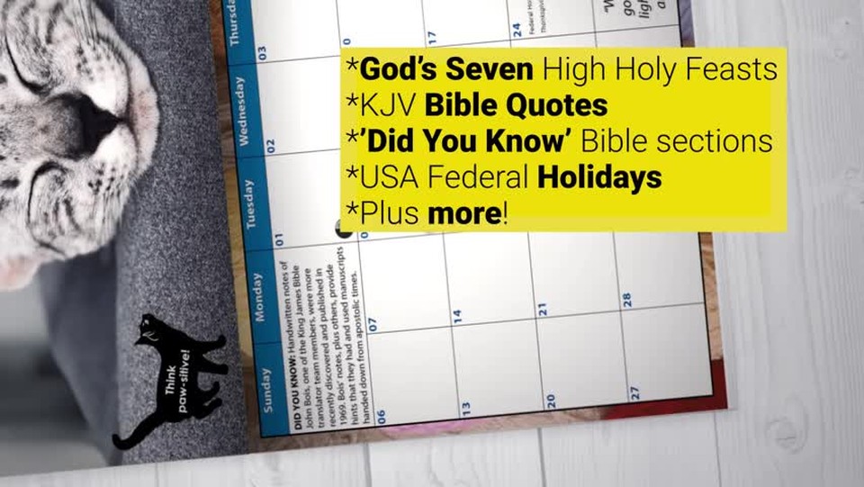 12 MONTH BIBLICAL CALENDAR 2022 (Kitten Edition – Volume 1)