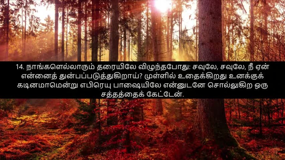 Bible Chapter Acts 26