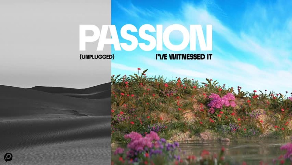 Passion - I've Witnessed It