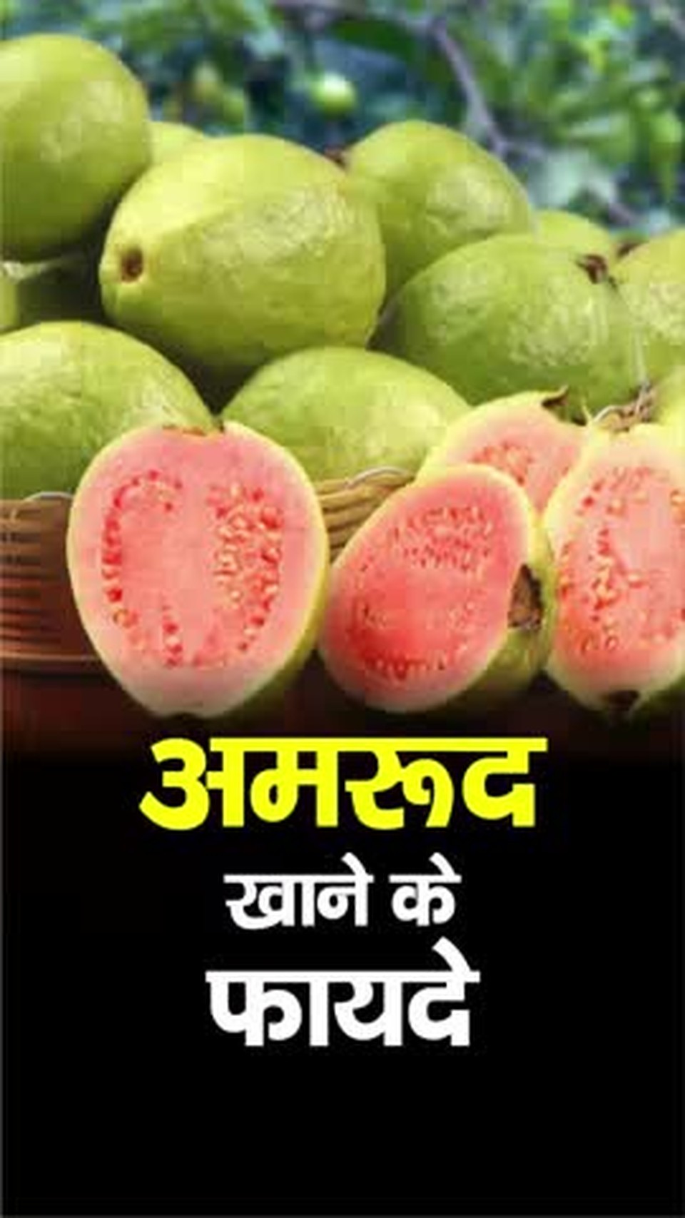 herbal health
