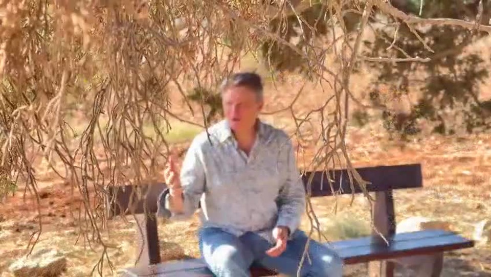 'I Will Be The Vine' by James Kilbane