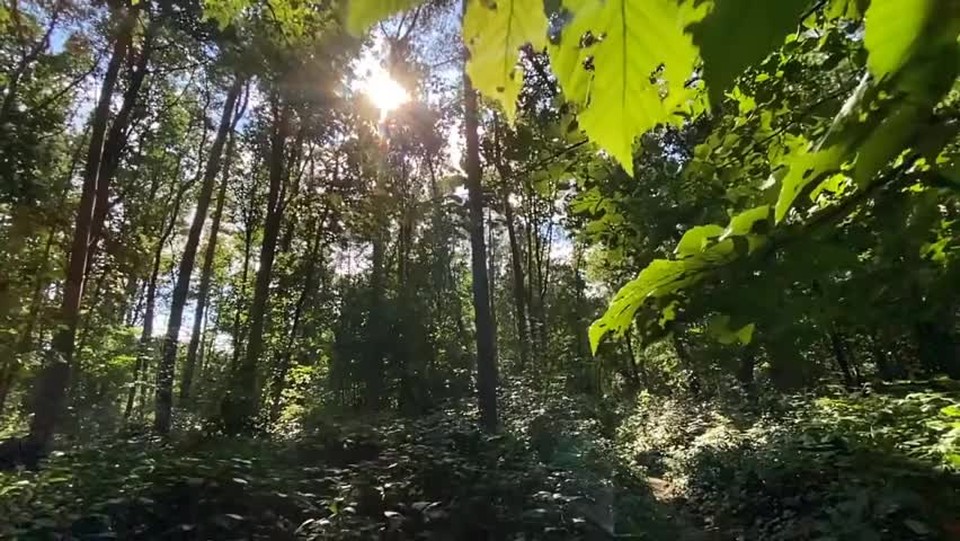 Discover God's Grace Through Faith: The Inspiring Stories of Rahab and the Sinful Woman