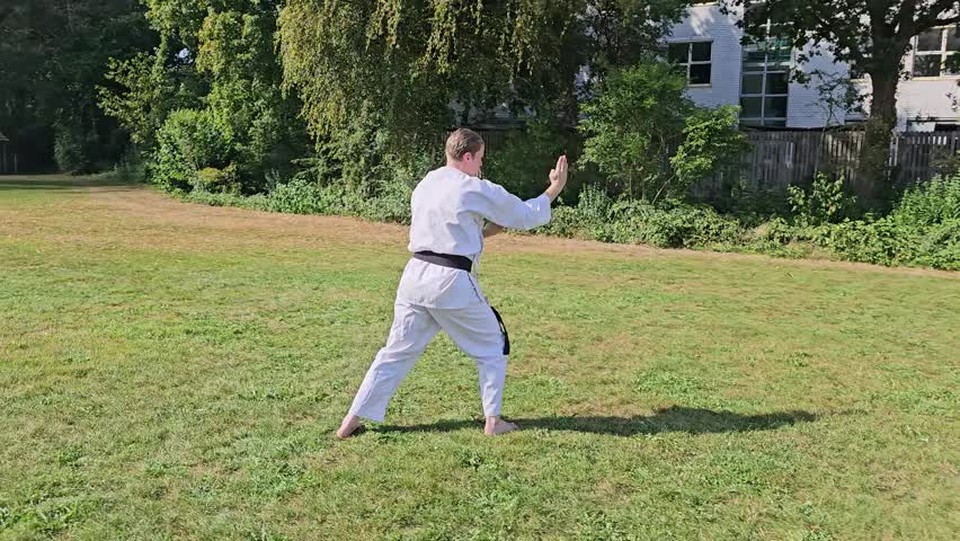 Step by Step in Faith – Kenko Kempo Kata (Vitok, by Erich B. Ries)