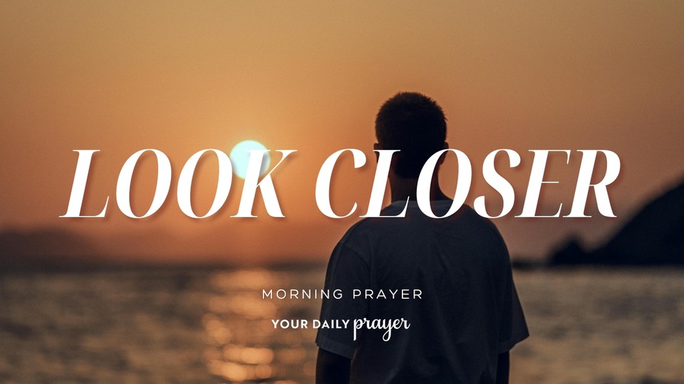 A Prayer for Noticing More | Your Daily Prayer
