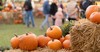 5 Halloween Activities That Point Kids to Jesus