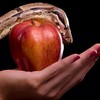 How Did the Serpent Speak to Eve?