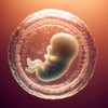 30-Year-Old Embryo’s Birth Sparks Debate Over Faith, Technology, and the Sanctity of Life