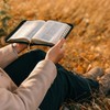 40 Best Thanksgiving Bible Verses to Offer Thanks to God