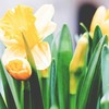 20 Short Prayers to Prepare Your Heart for Easter