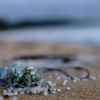 The Microplastic Crisis and the Challenge of Stewarding a Polluted World Well