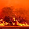 What Wildfires Reveal about Human Limits and Trusting God