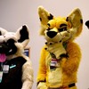 Furry Subculture and What the Bible Says about Hiding and Being Fully Known