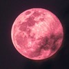 What Is the Paschal (Pink) Moon and What Does It Have to Do with Easter?