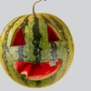 Summerween Reveals Why We Keep Searching for Joy That Lasts