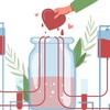 What America’s Blood Shortage Reveals about Ordinary Sacrifice