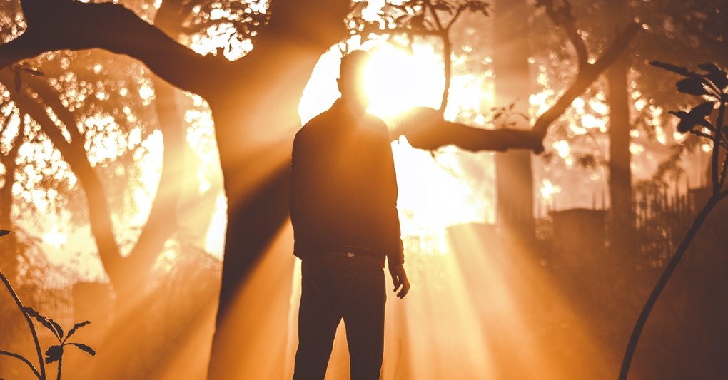 man standing in bright sunlight pouring through forest trees, blessed assurance