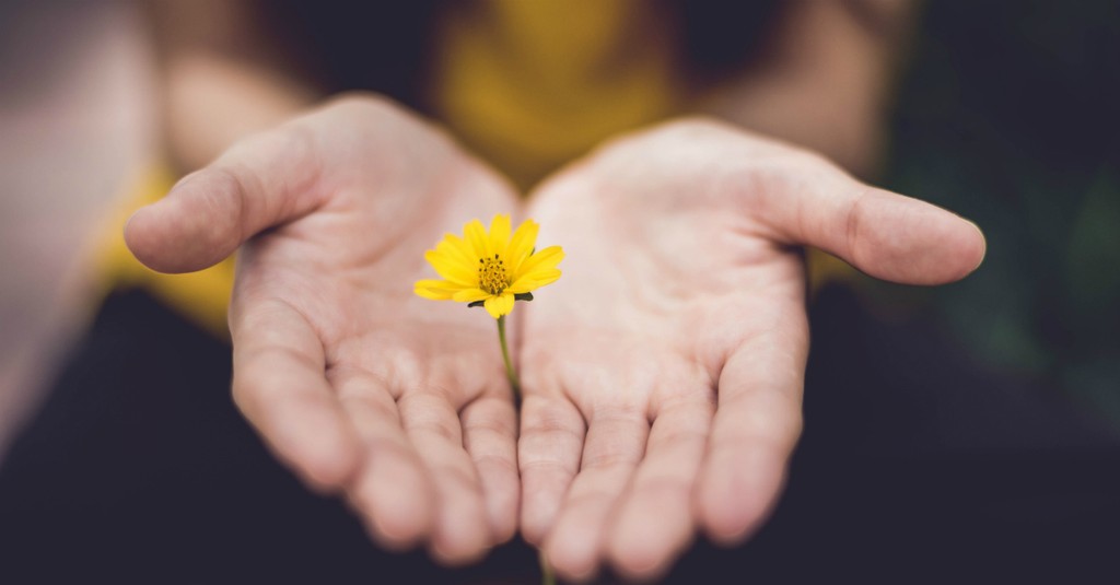 15 Bible Verses on Forgiveness