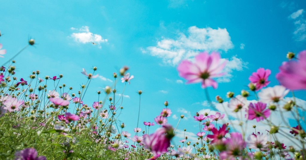 May 2025 Scripture Writing Challenge