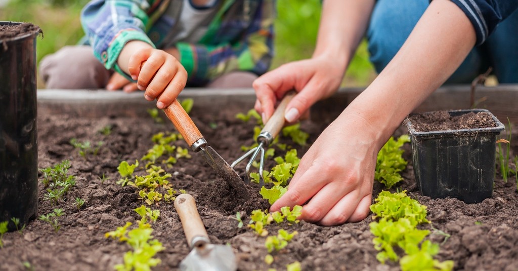 7 Gardening Tips for the Girl Who Can't Make Plants Grow