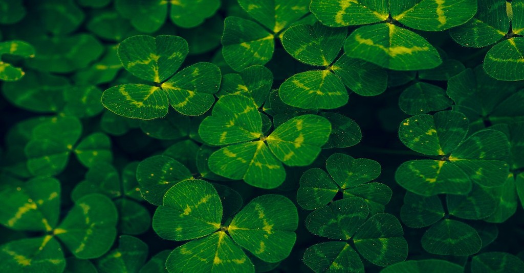 10 St. Patrick's Day Quotes and Blessings 