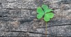 First American St. Patrick's Day Celebration