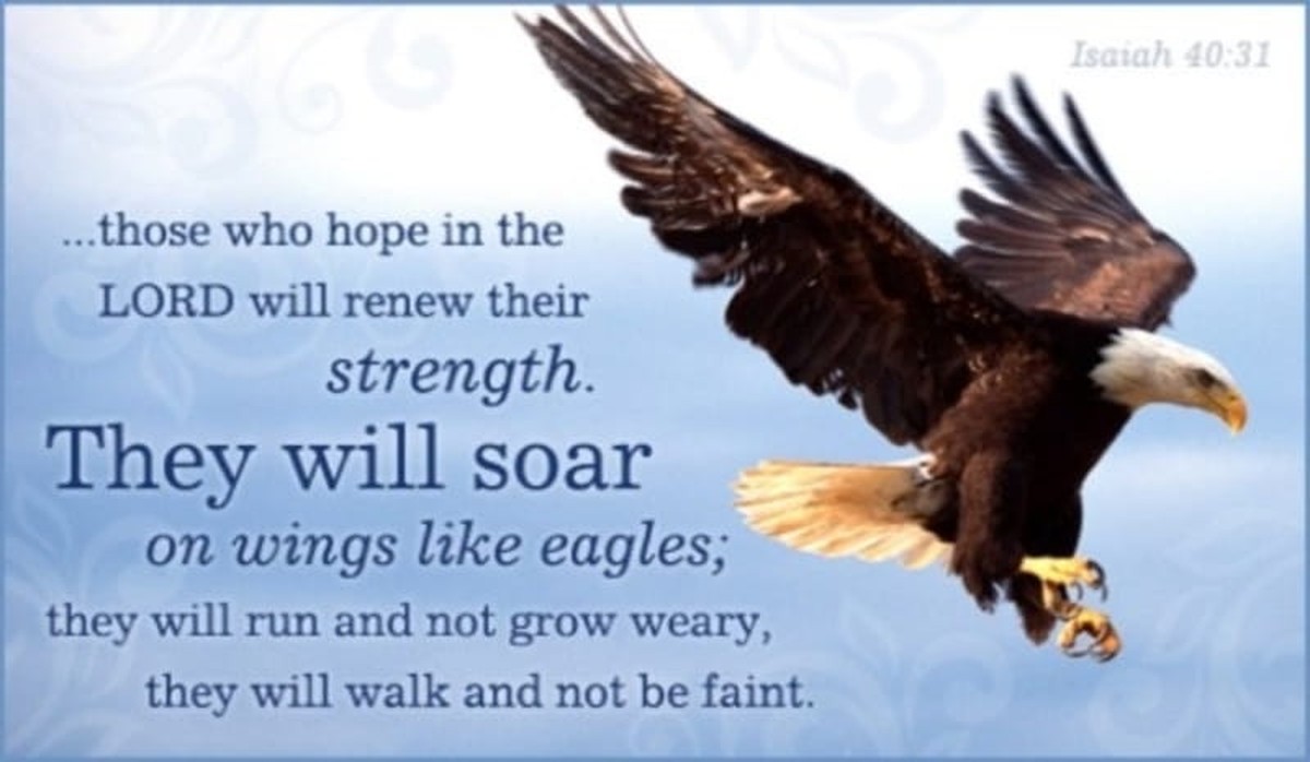 16 Top Bible Verses About Eagles 