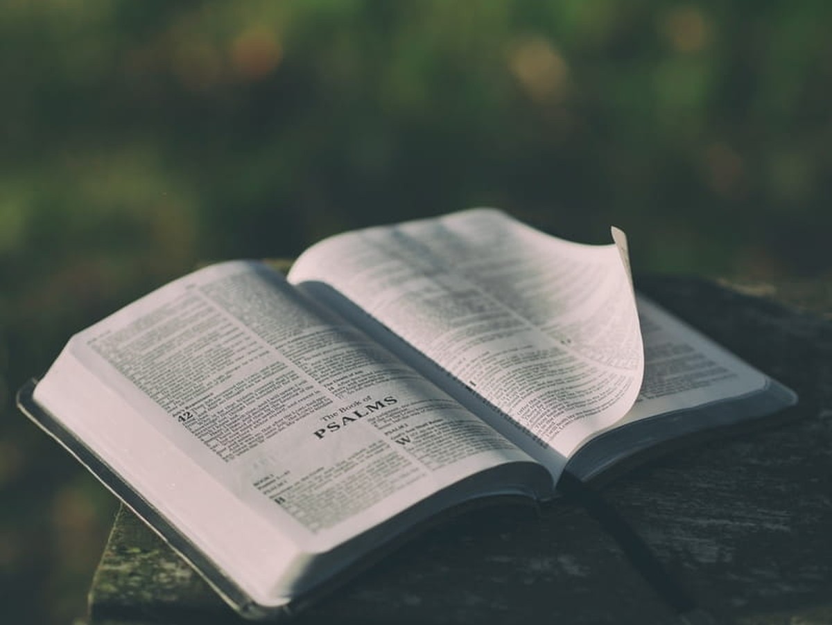 14 Top Bible Verses About False Teachers Scripture Warnings