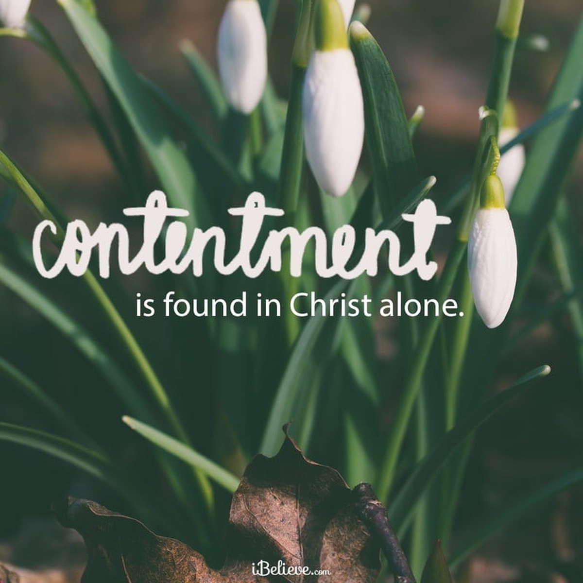 Bible Verses about Contentment