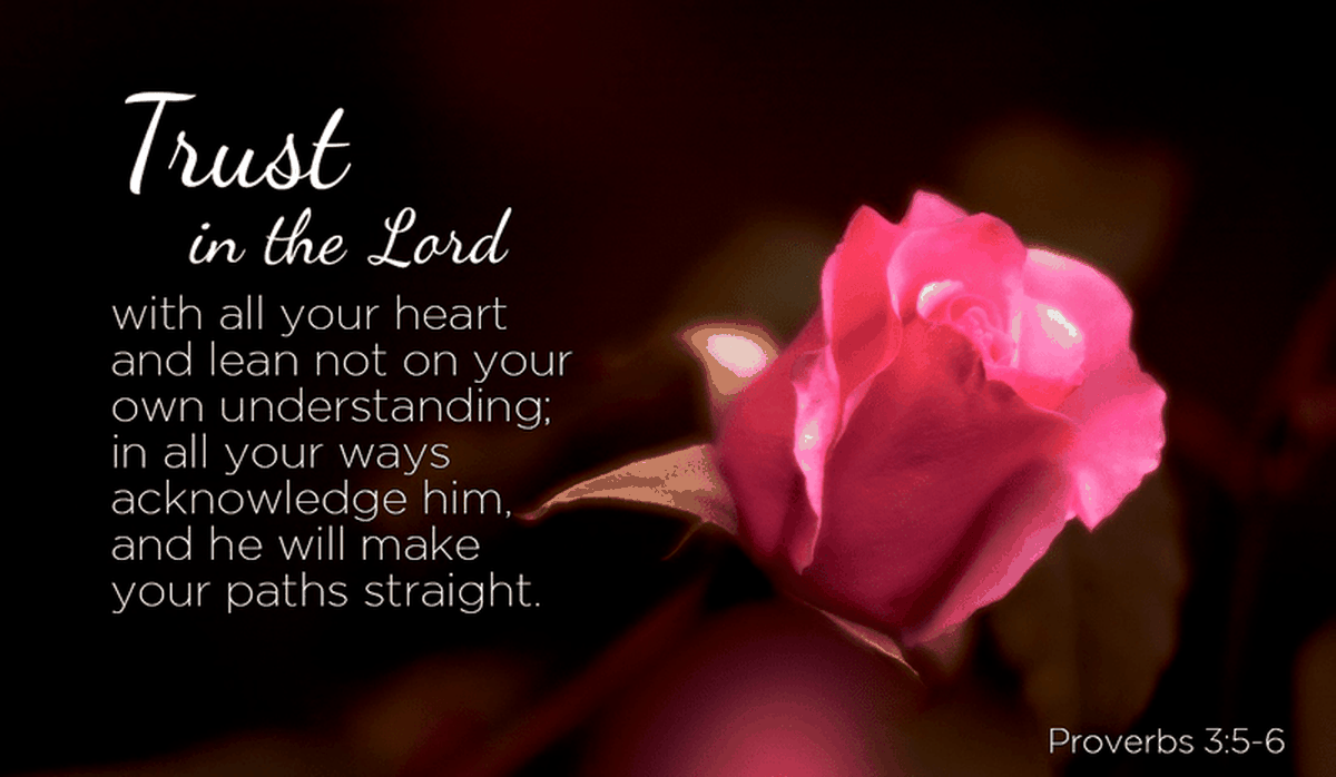 Understanding Bible Verses
