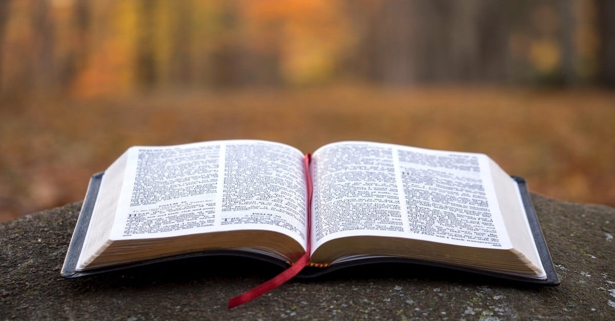 6. Pick up an Awesome Study Bible or Devotional (and Read It)