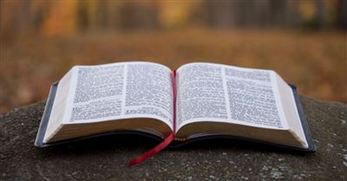 What the Bible Says